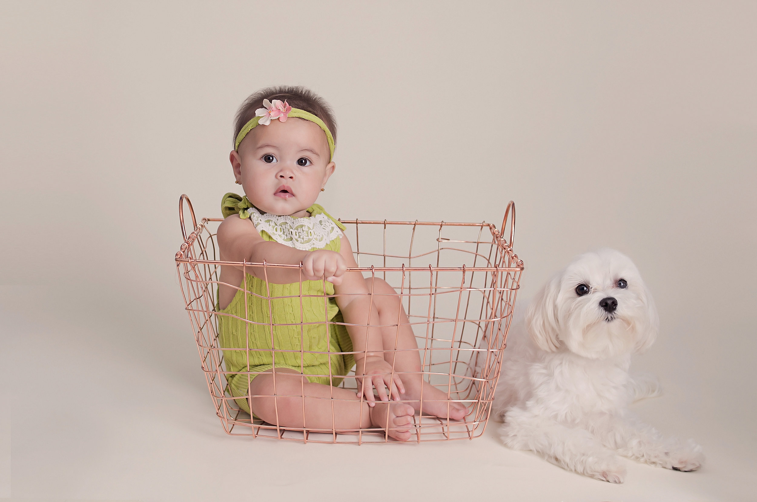Little girl sitting in basket with her dog Nashville tennessee