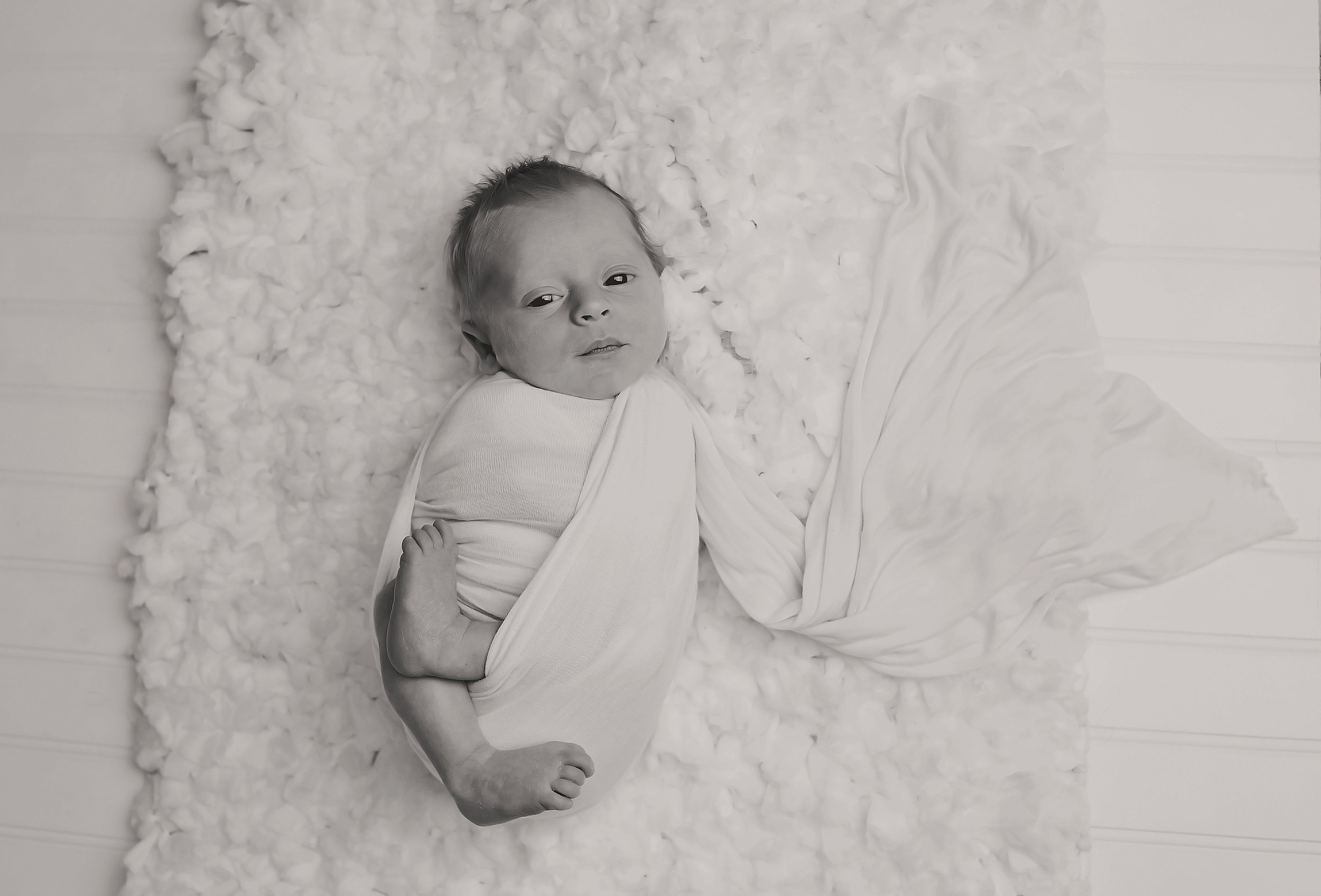Bradenton Newborn Photographer.jpg