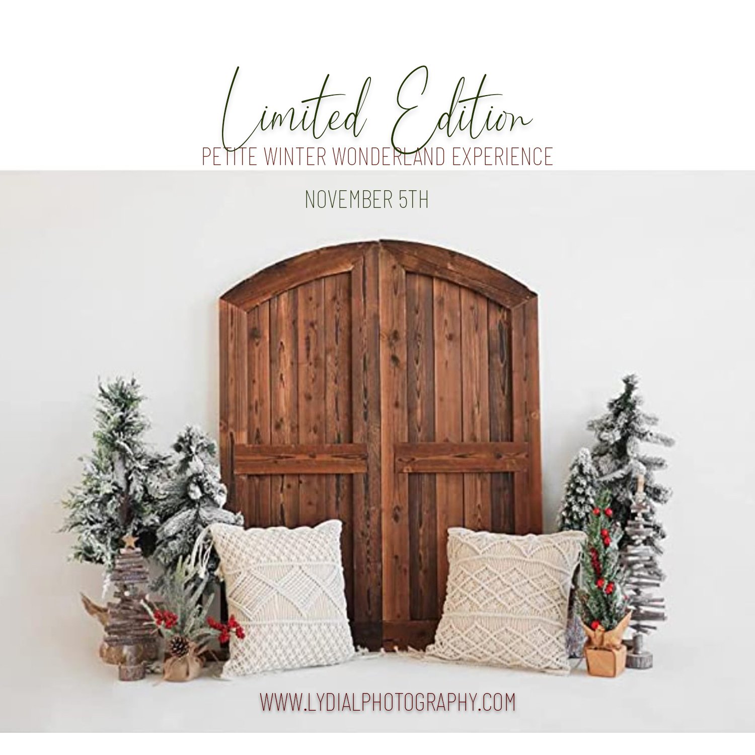 Christmas mini session, mount Juliet Tennessee, photoshoot, franklin Tennessee